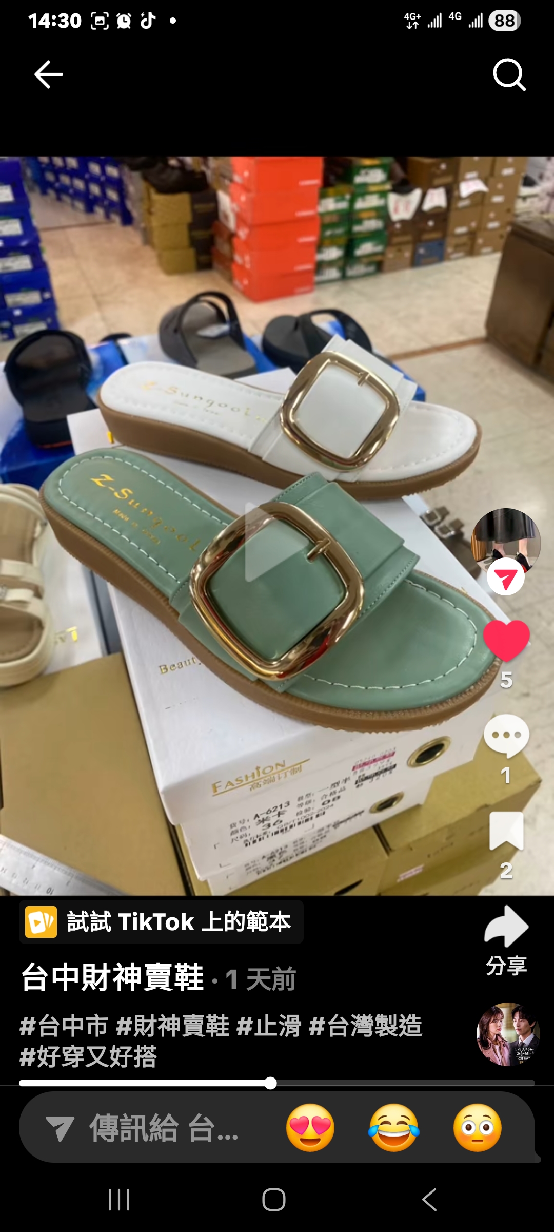 台灣製造女士時尚拖鞋